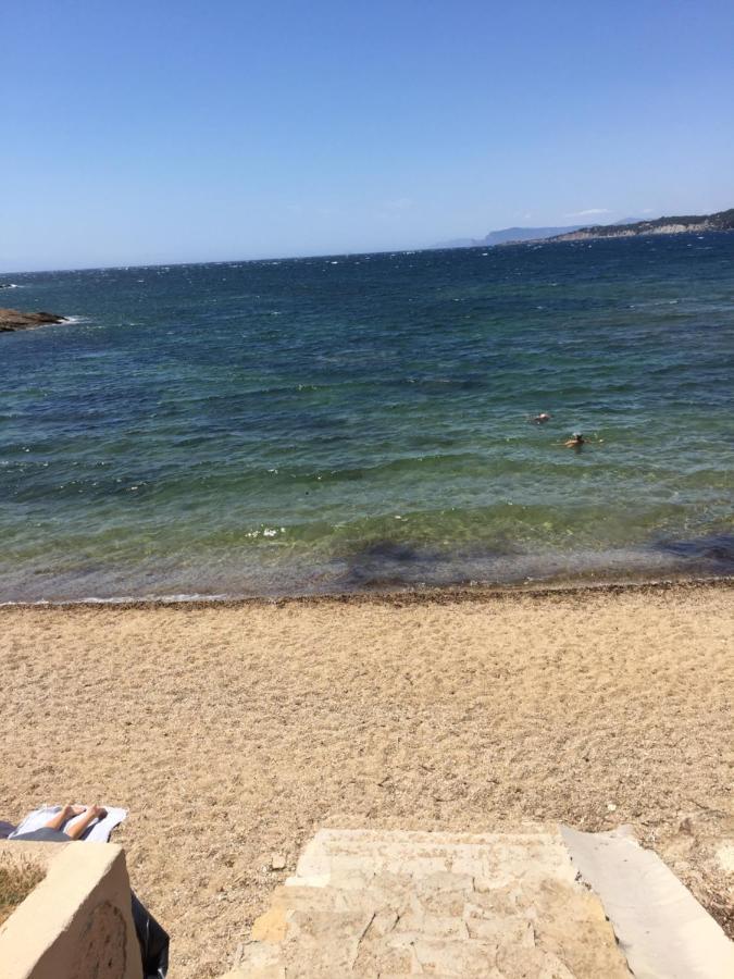 Apartment Marina Cap Negre: Beachfront With Sea View Terrace