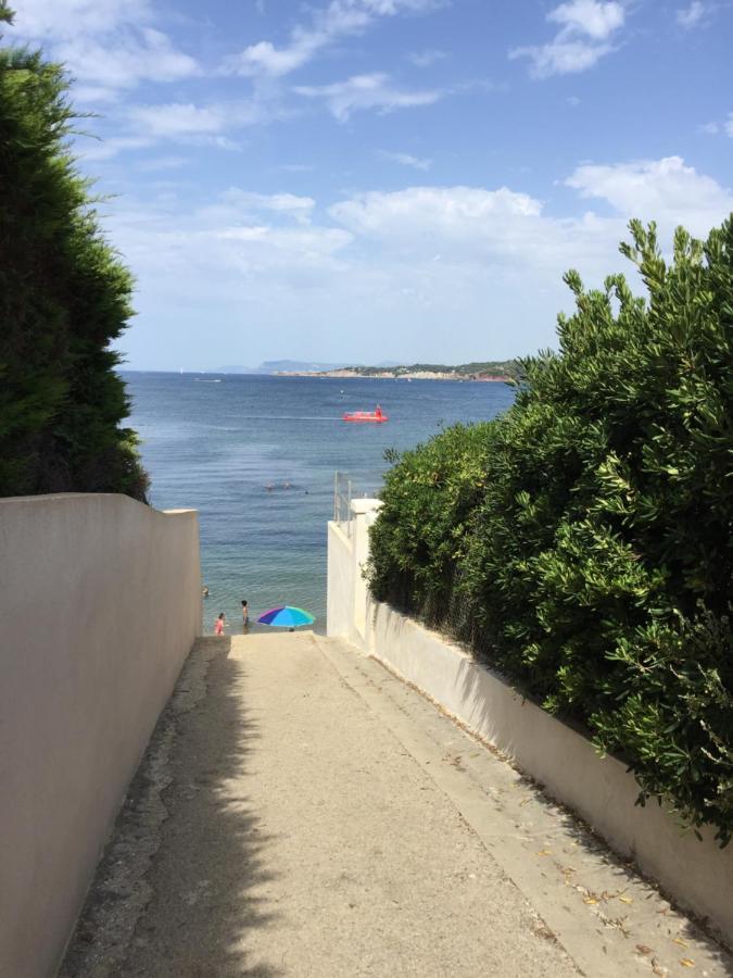 Marina Cap Negre: Beachfront With Sea View Terrace Apartment *