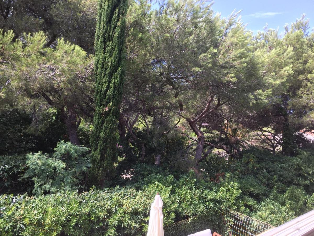Marina Cap Negre: Beachfront With Sea View Terrace Six-Fours-les-Plages